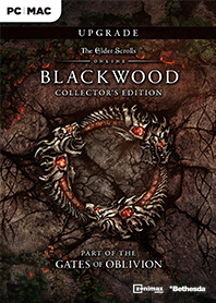 pc elder scrolls online digital download