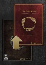 The Elder Scrolls ONLINE  インペリアルエディション The Elder Scrolls Online: 2025 Premium Edition